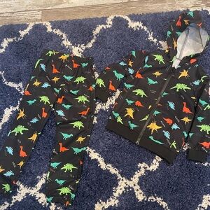Boys Two Piece Dinosaur Hoodie & Pants Set